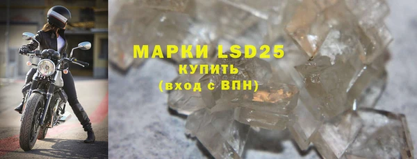 ПСИЛОЦИБИНОВЫЕ ГРИБЫ Вязьма
