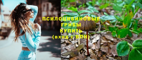ПСИЛОЦИБИНОВЫЕ ГРИБЫ Вязьма