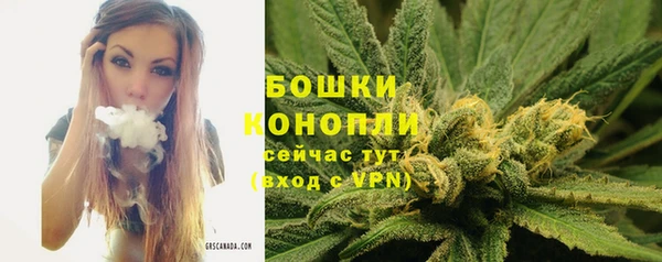 соль ск Вяземский