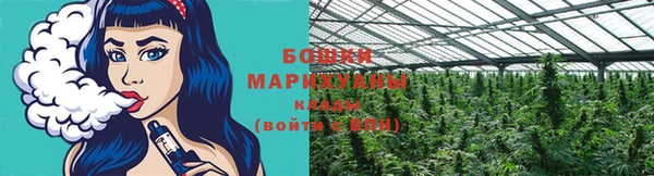 ПСИЛОЦИБИНОВЫЕ ГРИБЫ Вязьма