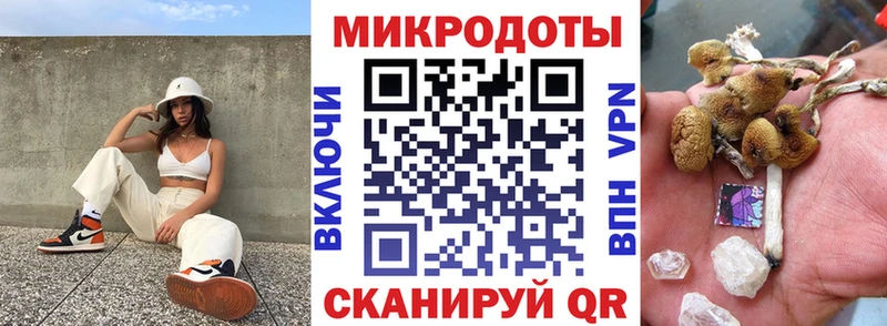 Галлюциногенные грибы Cubensis  Купить где  Салаир 